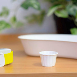 HN-BIOPILLCUP GreenyCare Paper Pill Cup - Individual Cup