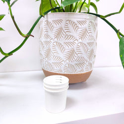 RediCare 30ml Medicine Cup - Styled Image