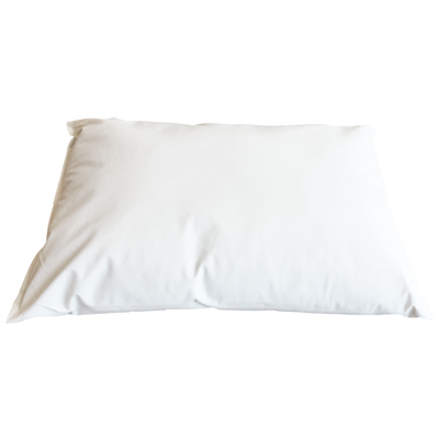 Pillow purchase shop